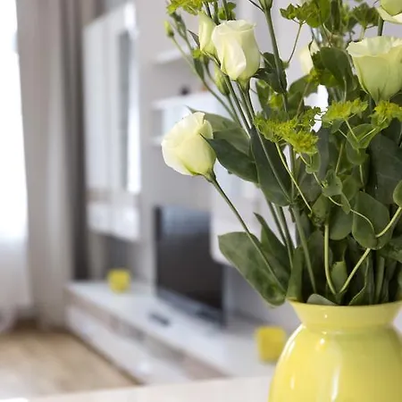 公寓 莱昂套房公寓 *